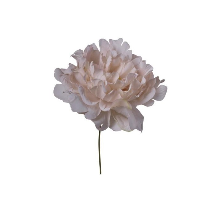 PICK PEONIA BEIGE 13X13X16